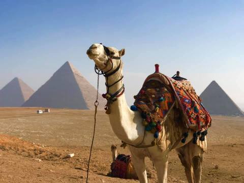 Cairo Luxor & Alexandria 8 Nights and 9 Days
